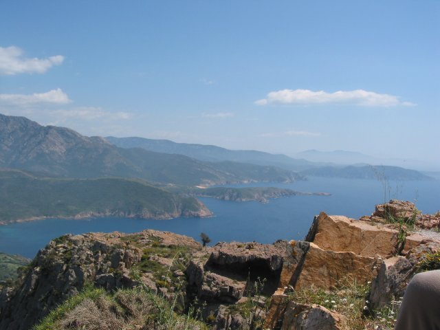 Photograph